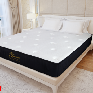 Nệm Lò Xo Túi Isabelle 7 Vùng – Memory Foam