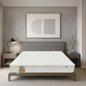 Nệm lò xo Dunlopillo Dream